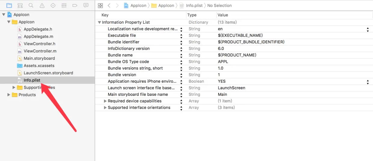 Info.plist