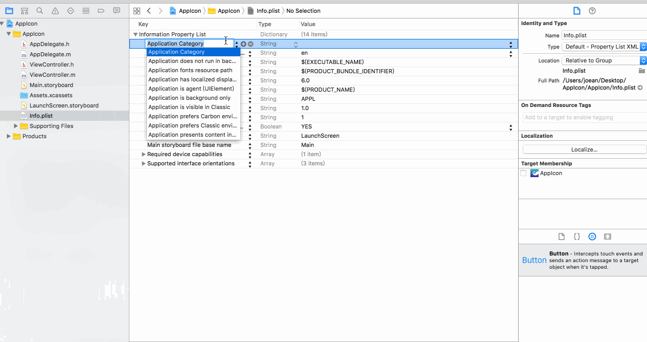 添加Bundle Display name