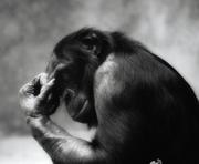 程诺的个人资料头像