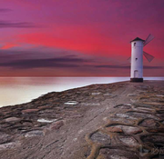 lintongtale的个人资料头像