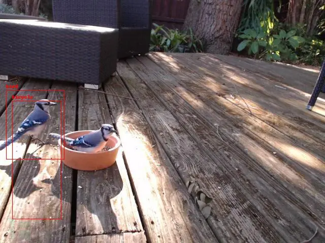 Python+树莓派+YOLO打造一款人工智能相机
                                                            