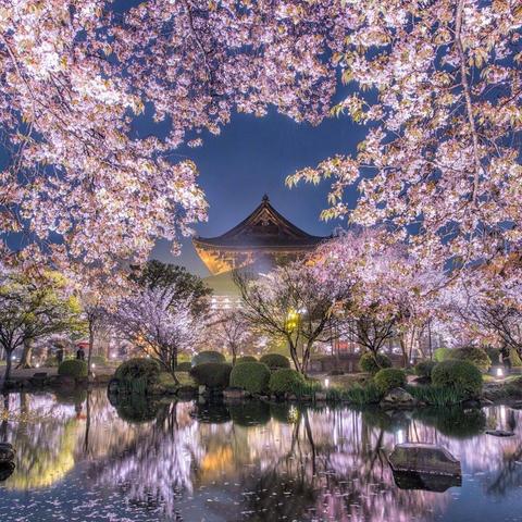 kora于2018-03-30 00:47发布的图片