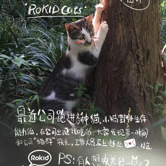 陈大發于2018-03-30 15:00发布的图片