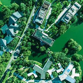 陈大發于2018-03-30 15:00发布的图片