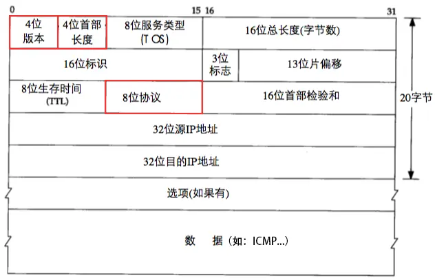 IPv4数据包格式
