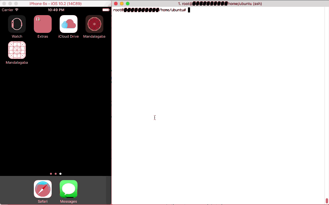 湾区日报于2018-03-05 12:34发布的图片