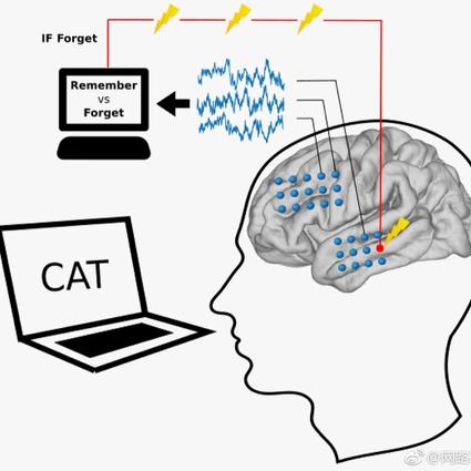 网路冷眼于2018-03-05 06:14发布的图片