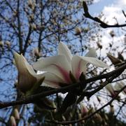 XPERIA的个人资料头像