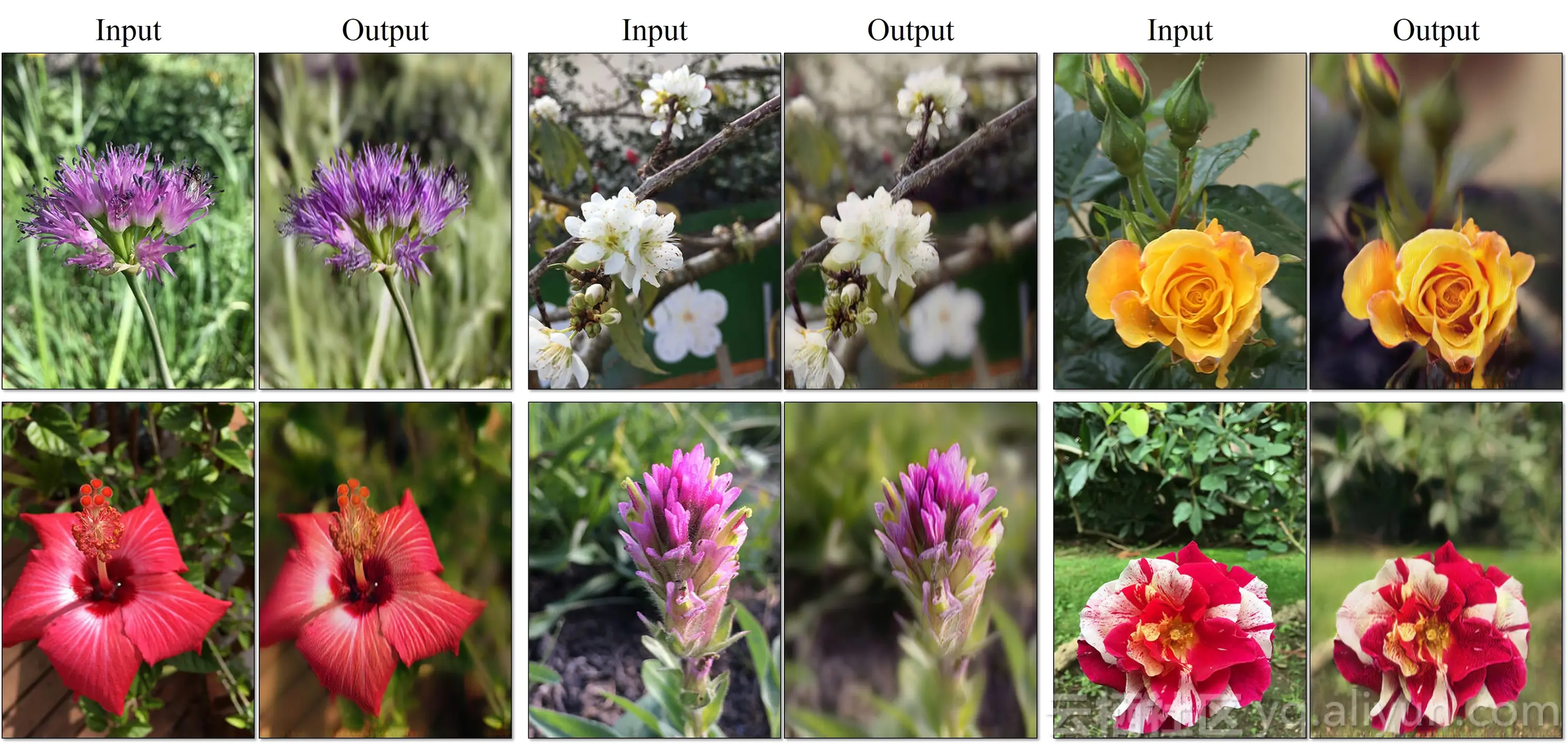 10f9087c1022c6c91e93bb7c48e1907dcf5ad32c