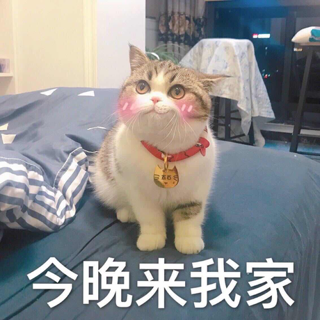 JohnWick于2018-03-05 16:21发布的图片