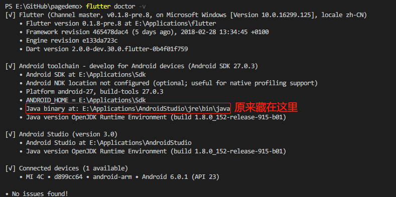 找到Java binary at: