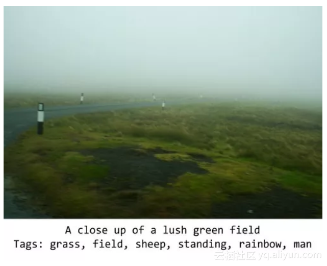 e53c56cb07bafce070c8c8b90ab6429739b8eeb6