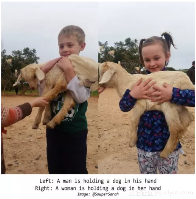 e8cb747fe9c9a7bdc6b3110c5cb6c6b4a362344e