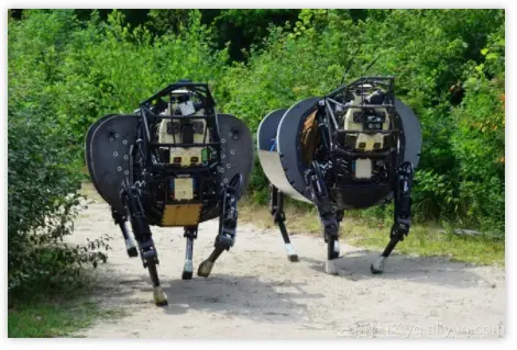 3f361336594528697bc1484dc04c9014e5aa159c