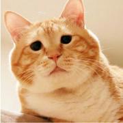 哈利波波vv的个人资料头像