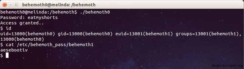 behemoth_level0_crack