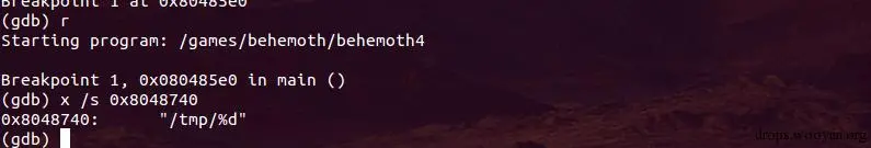 behemoth_level4_disassemble_2