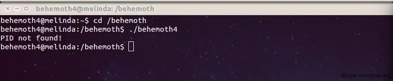 behemoth_level4_login