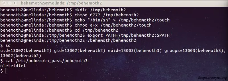 behemoth_level2_crack