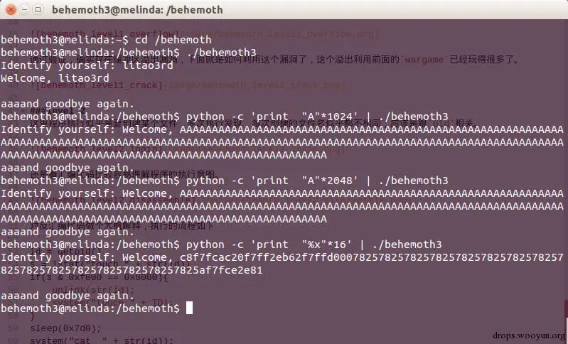 behemoth_level3_login