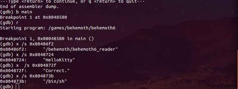 behemoth_level6_memory