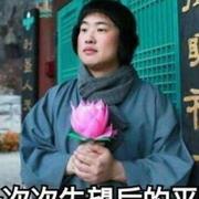 毫无波波波波波波波澜的个人资料头像