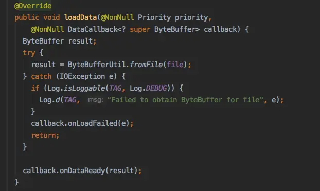 ByteBufferFileLoader.loadData