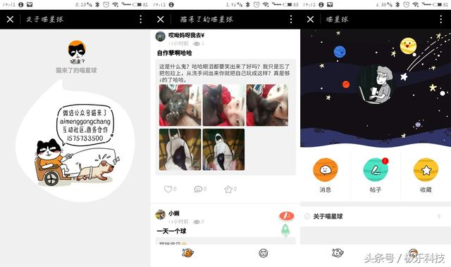 喵星人驾到，这些小程序才是吸猫大法的正确打开方式