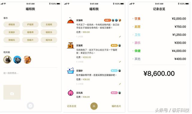 喵星人驾到，这些小程序才是吸猫大法的正确打开方式