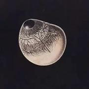 马建伟的个人资料头像