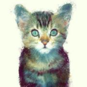 Zsir43299的个人资料头像