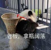 Lovey的个人资料头像