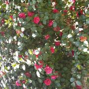 bluesky666的个人资料头像