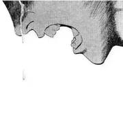 少悔的个人资料头像