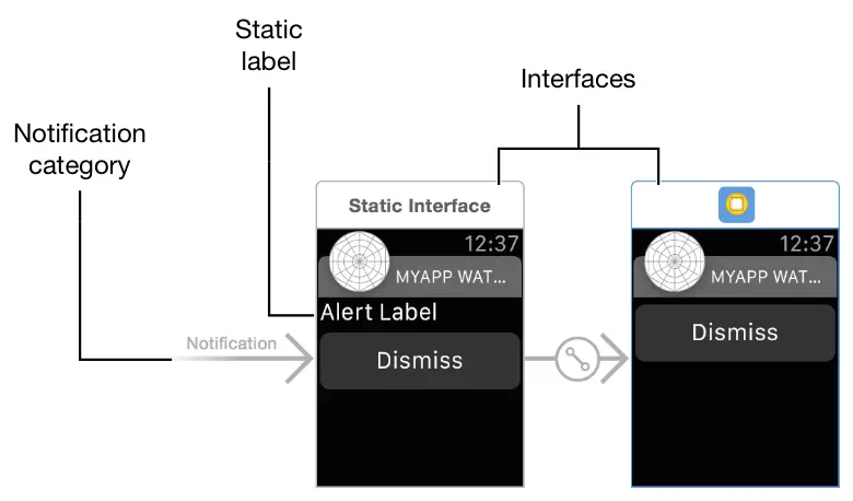 Static and dynamic notification interfaces