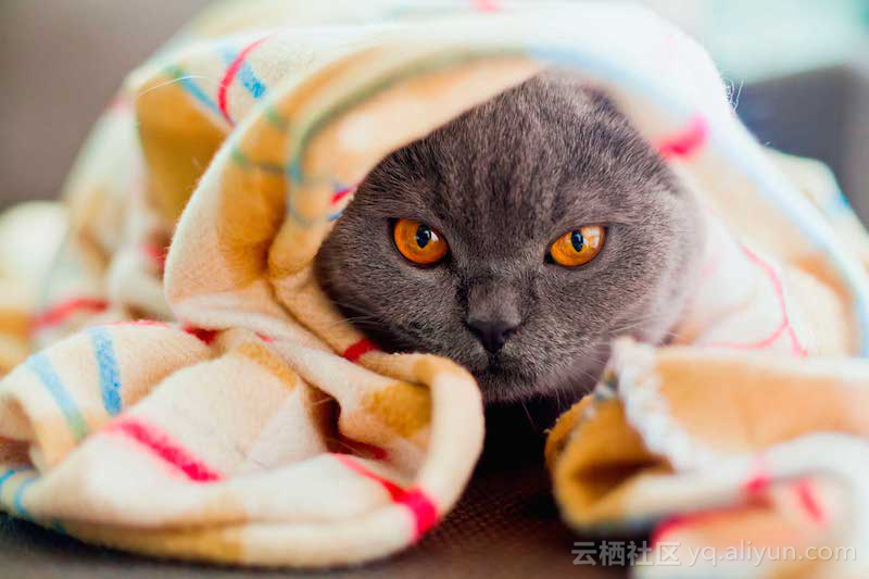 78df14f43081ebf8912968c6e974acba67084aec