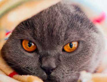 f804a812bb0f49e6343c0d0f689ac180a55d06c1