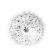 木得了的个人资料头像