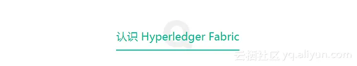 eab3e6f9d0b4106dae514ae42349aa542288e9d1