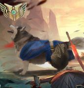 开飞机的马冬梅的个人资料头像