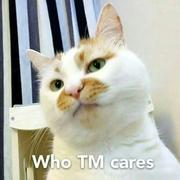 positionrelative的个人资料头像