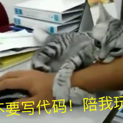 尔今夏于2018-04-14 17:12发布的图片