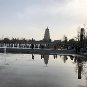 精勤的个人资料头像