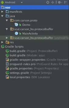 项目结构示意图