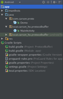 项目结构示意图