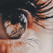 决堤的个人资料头像