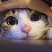 说的没错的个人资料头像