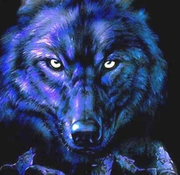 太师的个人资料头像